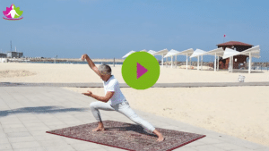 Vidpowr-Power-a-Flexi-Snake-play